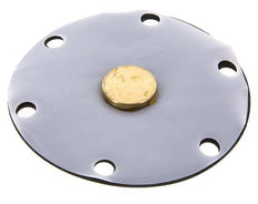 Ersatzmembran PTFE/NBR 1''