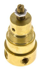 Pressure Regulator G1/4'' 330 l/min 0.5-8.0bar/7-116psi Brass Gases Liquids