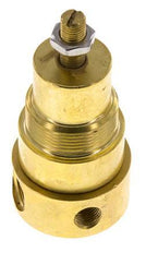 Pressure Regulator G1/4'' 330 l/min 0.5-8.0bar/7-116psi Brass Gases Liquids