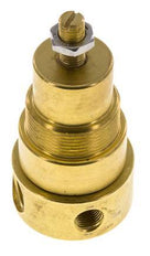 Pressure Regulator G1/4'' 330 l/min 1.0-15.0bar/14-218psi Brass Gases Liquids