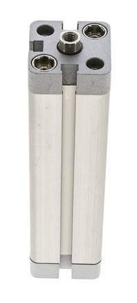 ISO 21287 Kompakter doppeltwirkender Zylinder 20-100mm - Magnetisch