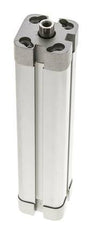 ISO 21287 Kompakter doppeltwirkender Zylinder 20-125mm - Magnetisch