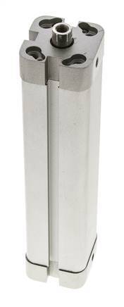 ISO 21287 Kompakter doppeltwirkender Zylinder 20-125mm - Magnetisch