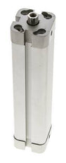 ISO 21287 Kompakter doppeltwirkender Zylinder 20-125mm - Magnetisch