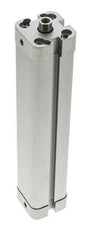 ISO 21287 Kompakter doppeltwirkender Zylinder 20-150mm - Magnetisch