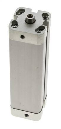 ISO 21287 Kompakter doppeltwirkender Zylinder 25-100mm - Magnetisch