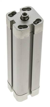 ISO 21287 Kompakter doppeltwirkender Zylinder 25-100mm - Magnetisch