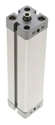 ISO 21287 Kompakter doppeltwirkender Zylinder 25-125mm - Magnetisch