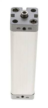 ISO 21287 Kompakter doppeltwirkender Zylinder 25-125mm - Magnetisch