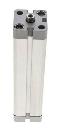 ISO 21287 Kompakter doppeltwirkender Zylinder 25-125mm - Magnetisch