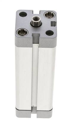 ISO 21287 Kompakter doppeltwirkender Zylinder 25-80mm - Magnetisch