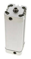 ISO 21287 Kompakter doppeltwirkender Zylinder 32-100mm - Magnetisch