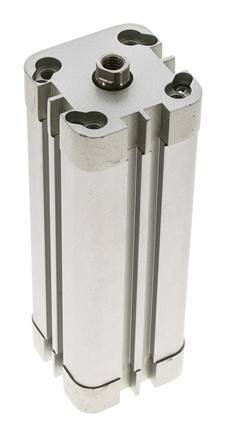 ISO 21287 Kompakter doppeltwirkender Zylinder 32-100mm - Magnetisch
