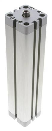 ISO 21287 Kompakter doppeltwirkender Zylinder 40-200mm - Magnetisch