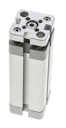 ISO 21287 Kompakter doppeltwirkender Zylinder 20-60mm - magnetisch - nicht drehend