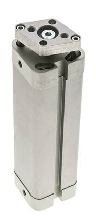ISO 21287 Kompakter doppeltwirkender Zylinder 25-100mm - magnetisch - nicht drehend