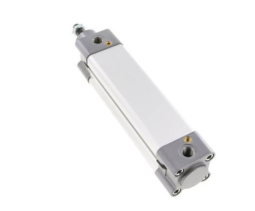 ISO 15552 Doppeltwirkender Zylinder 40-125mm - Magnetisch - Dämpfend