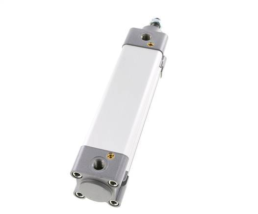 ISO 15552 Doppeltwirkender Zylinder 40-125mm - Magnetisch - Dämpfend