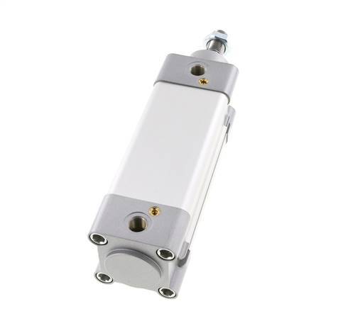 ISO 15552 Doppeltwirkender Zylinder 50-80mm - Magnetisch - Dämpfend