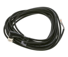 Anschluss Leitungsstecker M12 5m