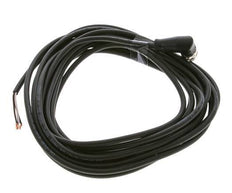 Anschluss Leitungsstecker M12 5m