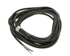 Anschluss Leitungsstecker M12 5m