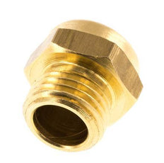 G1/4'' Brass Compact Pneumatic Muffler 1.4301 Wire Mesh [5 Pieces]