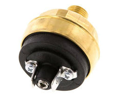 0.2 bis 2bar NO Druckschalter aus Messing M10 42VAC/DC Flachstecker