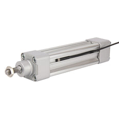 PNP 3m Reed-Lagegeber 10-30V DC - RCI