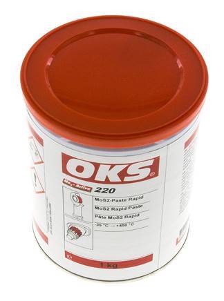 Schnellpaste MoS2 1kg OKS 220