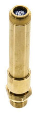 G 1/2'' Brass Pre-Set Safety Valve 46 bar (667.18 psi) DN 10
