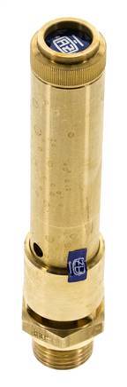 G 1/2'' Brass Pre-Set Safety Valve 46 bar (667.18 psi) DN 10