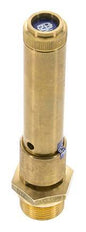G 3/4'' Brass Pre-Set Safety Valve 49 bar (710.7 psi) DN 10