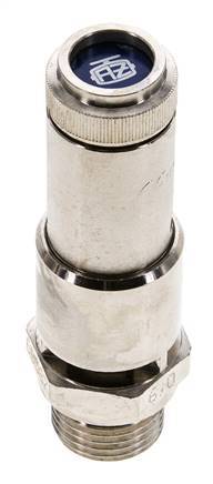 G 1/2'' Nickel-plated Brass Pre-Set Safety Valve 8 bar (116.03 psi) DN 10