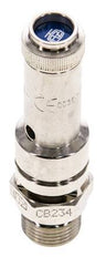G 1/4'' Nickel-plated Brass Pre-Set Safety Valve 24 bar (348.1 psi) DN 8