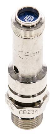 G 1/4'' Nickel-plated Brass Pre-Set Safety Valve 17 bar (246.57 psi) DN 8