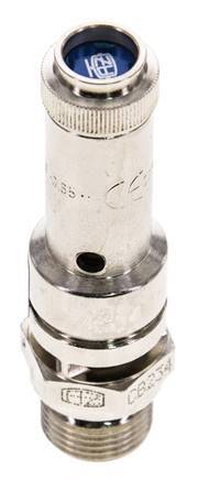 G 3/8'' Nickel-plated Brass Pre-Set Safety Valve 8 bar (116.03 psi) DN 8
