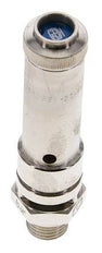 G 1/4'' Nickel-plated Brass Pre-Set Safety Valve 21 bar (304.58 psi) DN 8