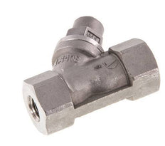 G1/4'' Y-Filter 0.8mm Edelstahl PTFE 40bar