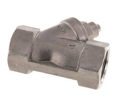 G1'' Y-Filter 0.25mm Edelstahl PTFE 40bar