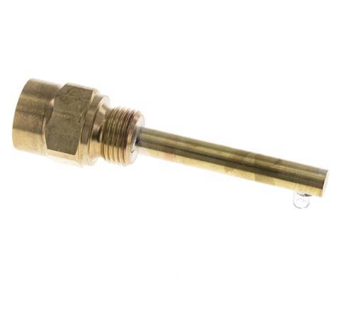 Kupferlegierung G 1/2 Zoll Schutzrohr für 100-mm-Schaft Max. 160°C und 6 bar