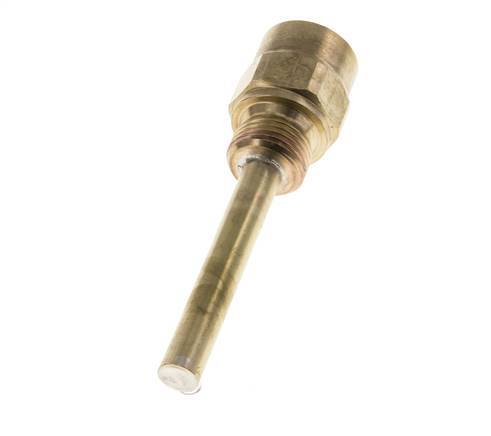 Kupferlegierung G 1/2 Zoll Schutzrohr für 100-mm-Schaft Max. 160°C und 6 bar