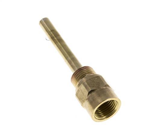 Kupferlegierung G 1/2 Zoll Schutzrohr für 100-mm-Schaft Max. 160°C und 6 bar