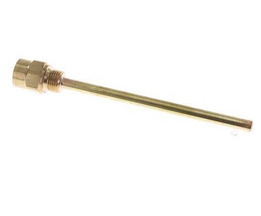Kupferlegierung G 1/2 Zoll Schutzrohr für 200-mm-Schaft Max. 160°C und 6 bar