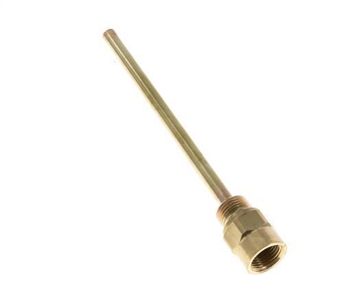 Kupferlegierung G 1/2 Zoll Schutzrohr für 200-mm-Schaft Max. 160°C und 6 bar
