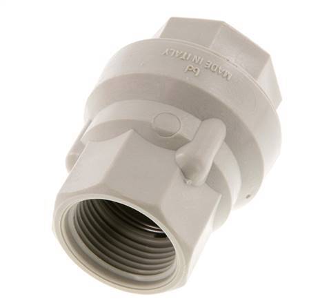 G 1'' Polypropylene Check Valve 0.02-6 bar (0.29-87 psi)