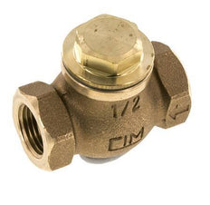 G 1/2'' Red Brass Lift Check Valve 20 bar (290 psi) Heavy Duty