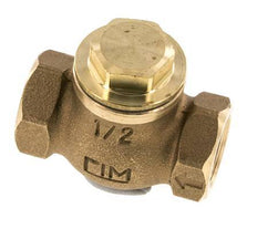 G 1/2'' Red Brass Lift Check Valve 20 bar (290 psi) Heavy Duty