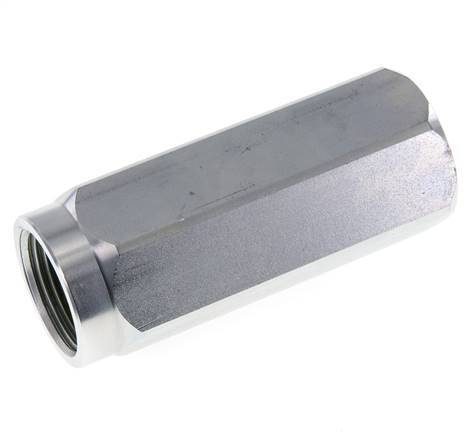 G 1'' Hydraulik-Rückschlagventil Stahl 3-350 Bar (43.5-5075 Psi)