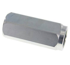 G 1-1/4'' Hydraulik-Rückschlagventil Stahl 8-300 Bar (116-4350 Psi)
